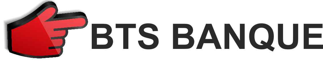 logo bts banque